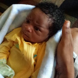 Renee Gross Photo 20