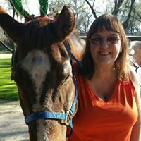 Suzanne Mclean Photo 11
