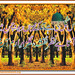 Gulzar Ahmad Photo 16