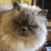 Anne Jeffrey Photo 22