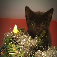 Tammy Maloney Photo 12