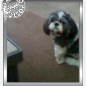 Nancy Coffman Photo 8