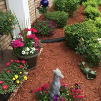 Sharon Conley Photo 26