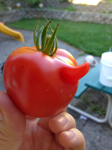 Curtis Rich Photo 16