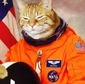 Raymond Cook Photo 16