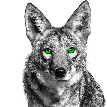 Jacob Potter Photo 7