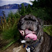 Bill Bugg Photo 7