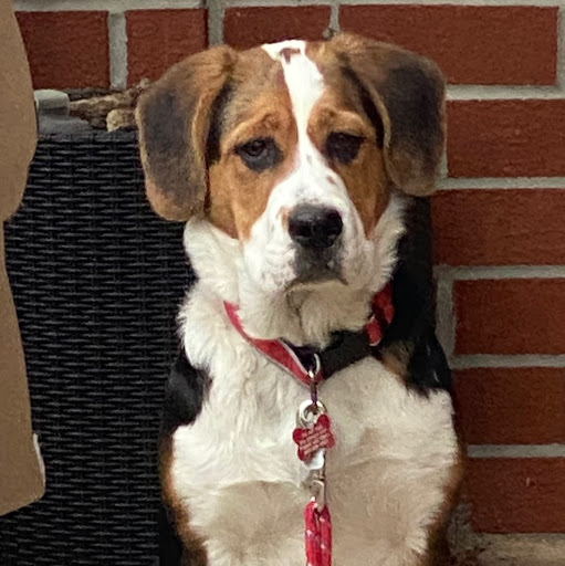 Jill Nichols Photo 16