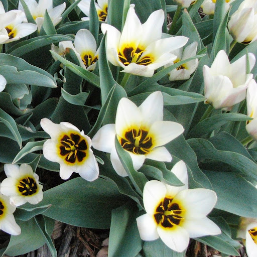 Robin Keith Photo 38