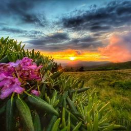 Kathy Shaffer Photo 28