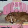 Nancy Haley Photo 38