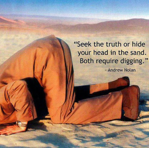 Michelle Sweeney Photo 22