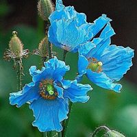 Christina Goodwin Photo 14