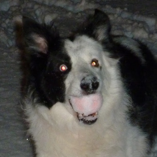 Phil Elliott Photo 42