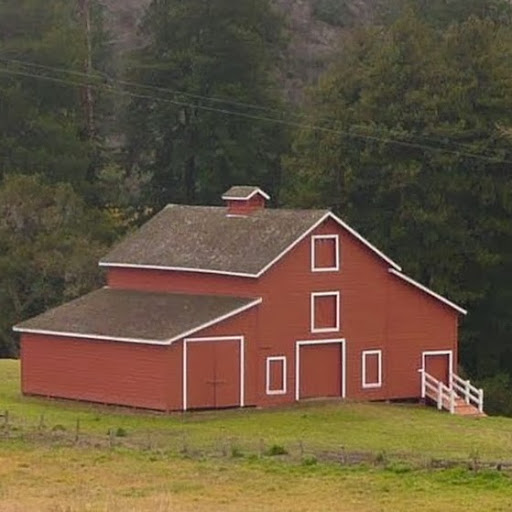 Walter Cook Photo 27 Walter Cook Photo 27