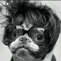 Stephen Bowles Photo 29 Stephen Bowles Photo 29