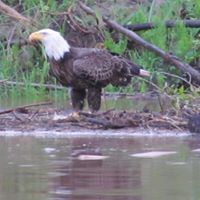 Janice Redden Photo 4