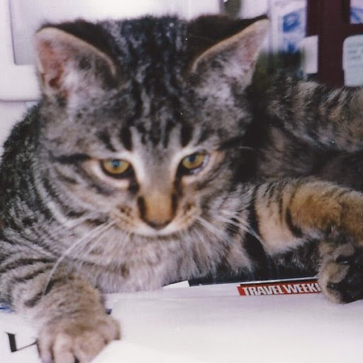 Pam Nichols Photo 13