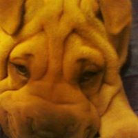 Sandra Garner Photo 17