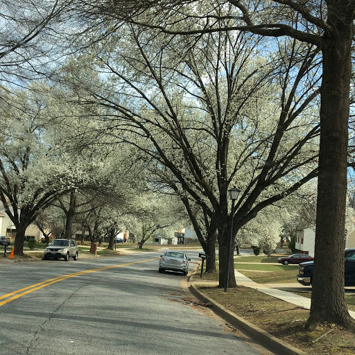 Lupe Fuentes Photo 36