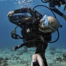 Daniel Pollak Photo 16