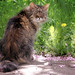 Amy Spring Photo 9