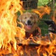 Michael Orloff Photo 10