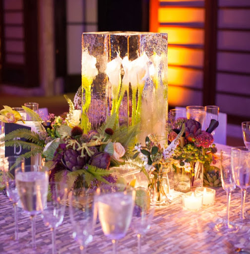 Kristin Schultz Photo 15