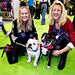 Joanne Webb Photo 22