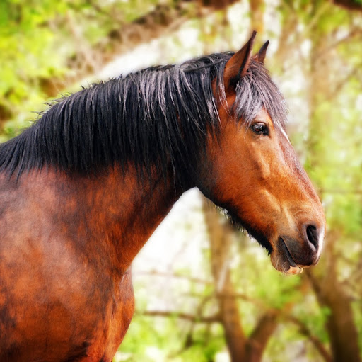 Marcie Johnson Photo 30