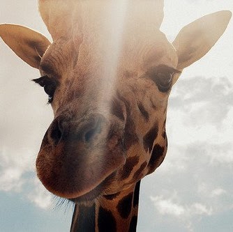 Darrell Pike Photo 20