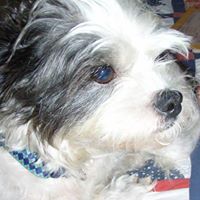 Geraldine Behrens Photo 2