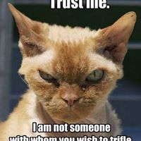 Cynthia Huber Photo 34