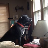 April Minor Photo 20