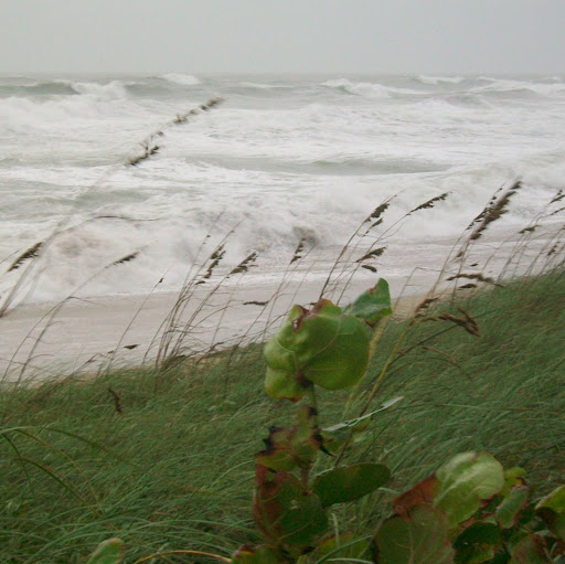 Joann Morrison Photo 22