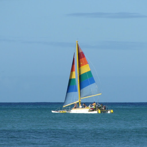 Elyse Morris Photo 10