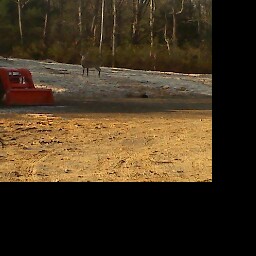 Randy Welch Photo 37