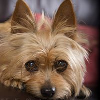 Jane Kenyon Photo 14 Jane Kenyon Photo 14