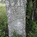 John Wiley Photo 24