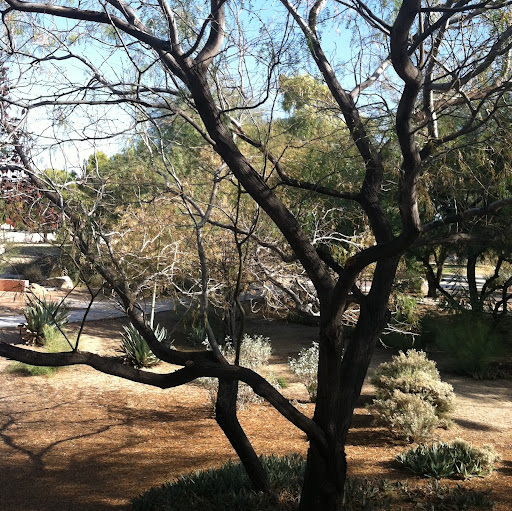 Michael Eades Photo 33