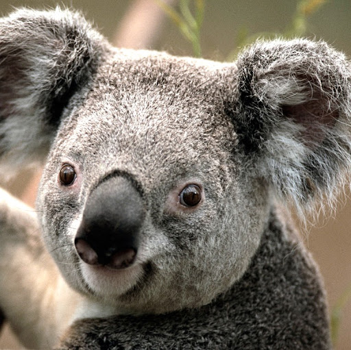 Kathy Mckay Photo 34