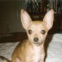 Susan Lay Photo 46