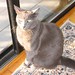 Anne Grau Photo 16