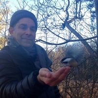 Michael Arsenault Photo 25