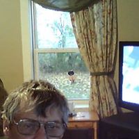 Daryl Bailey Photo 33