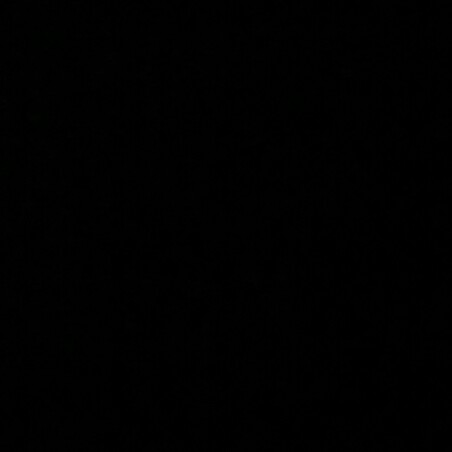 Jack Turner Photo 18