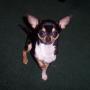 Michele Daniels Photo 5