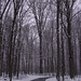 David Blomberg Photo 25