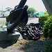 Deanna Anchors Photo 2