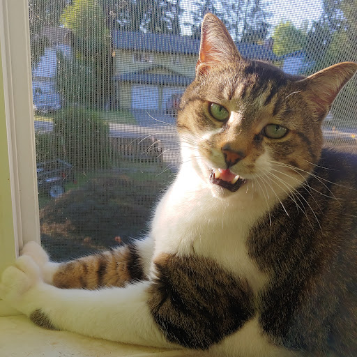 Amanda Redetzke Photo 5